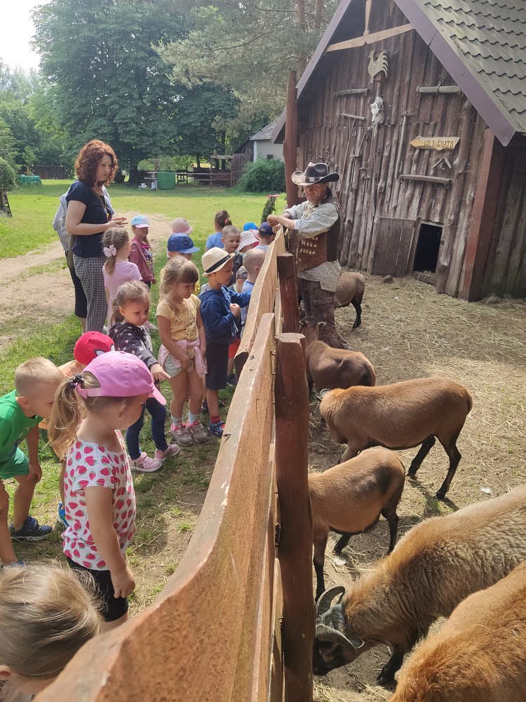 Dzieci oglądają kozy.